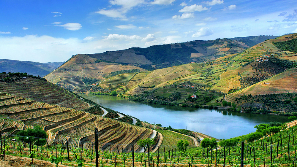 Turismo Rural Local